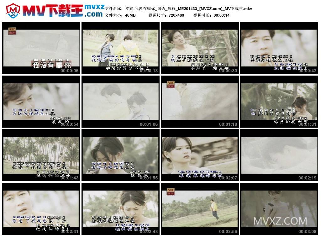 罗宾-我没有骗你_国语_流行_ME201433